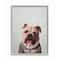 Stupell Industries English Bulldog in Earl Grey Tea Shirt Wall Art in Gray Frame